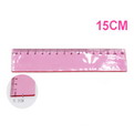 10G2   promotional transparent soft pvc rulers 30cm