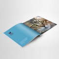 10Y02   Printing branding catalogue/brochure