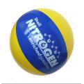 inflated 20cm beach ball